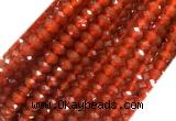 AGBS08 15 inches 5*8mm faceted rondelle red agate beads wholesale