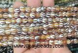 AGBS202 15 inches 6mm round tibetan dzi agate gemstone beads