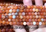 AGBS61 15 inches 6mm round orange botswana agate beads