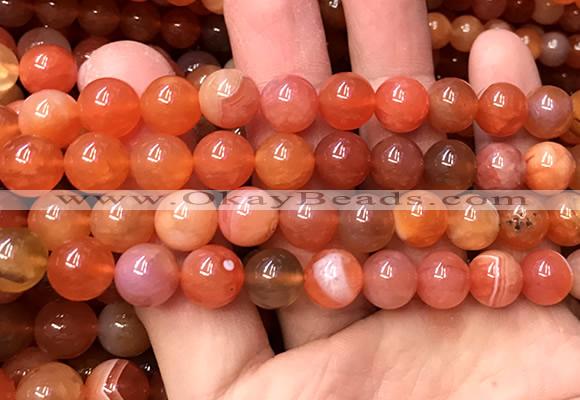 AGBS63 15 inches 10mm round orange botswana agate beads