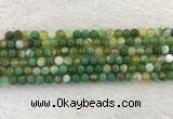 CAA1971 15.5 inches 6mm round banded agate gemstone beads