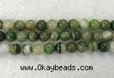 CAA1986 15.5 inches 16mm round banded agate gemstone beads