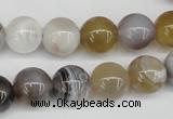 CAA226 15.5 inches 12mm round botswana agate gemstone beads