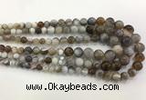 CAA3700 15.5 inches 6mm - 13mm round Botswana agate graduated beads