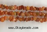 CAA3806 15.5 inches 4*6mm - 8*10mm chips red agate beads wholesale