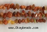 CAA3807 15.5 inches 8*12mm - 10*14mm chips red agate beads wholesale