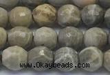 CAA3961 15.5 inches 6mm faceted round chrysanthemum agate beads