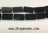 CAA4073 15.5 inches 30*50mm rectangle black agate gemstone beads