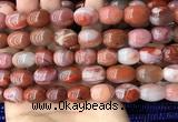 CAA4570 15.5 inches 12*15mm - 12*18mm rice south red agate beads