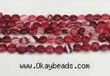 CAA4583 15.5 inches 10mm flat round banded agate beads wholesale