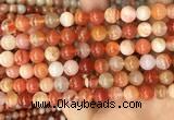 CAA5003 15.5 inches 8mm round red botswana agate beads wholesale