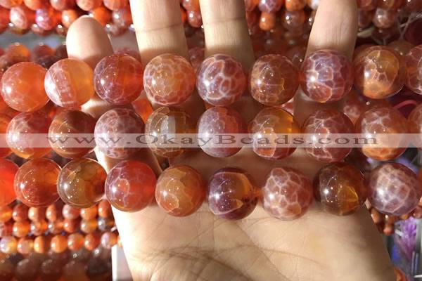 CAA5076 15.5 inches 16mm round red dragon veins agate beads