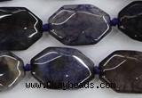 CAA595 15.5 inches 18*25mm faceted octagonal dragon veins agate beads