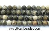 CAA6104 15.5 inches 12mm round chrysanthemum agate gemstone beads