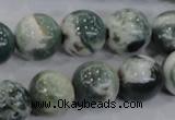 CAA704 15.5 inches 14mm round tree agate gemstone beads wholesale