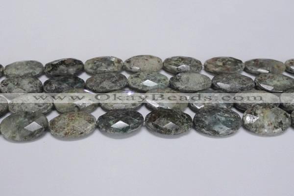 CAF150 15.5 inches 20*30mm faceted oval Africa stone beads