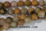 CAG1712 15.5 inches 8mm faceted round rainbow agate beads