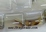 CAG3345 15.5 inches 18*25mm rectangle natural grey agate beads