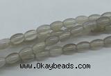 CAG3560 15.5 inches 4*6mm rice grey agate gemstone beads