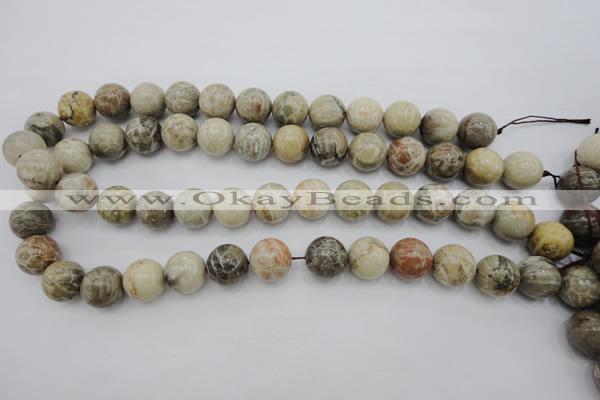 CAG3885 15.5 inches 14mm round chrysanthemum agate beads