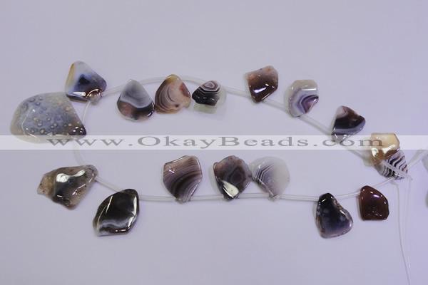 CAG4468 Top-drilled 15*20mm – 28*38mm freeform botswana agate beads