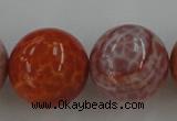 CAG5568 15.5 inches 20mm round natural fire agate beads wholesale