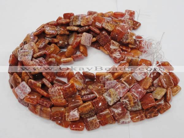 CAG645 15.5 inches 20mm square natural fire agate beads wholesale