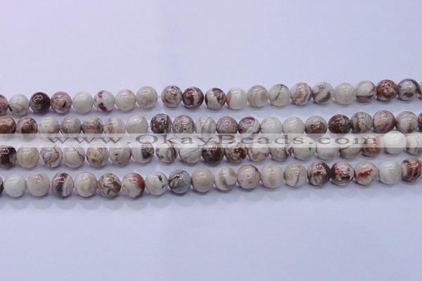 CAG6661 15.5 inches 6mm round Mexican crazy lace agate beads