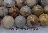 CAG6673 15.5 inches 10mm round natural crazy lace agate beads