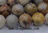 CAG6674 15.5 inches 12mm round natural crazy lace agate beads