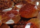 CAG682 15.5 inches 22*30mm faceted freeform natural fire agate beads