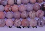 CAG7302 15.5 inches 8mm round red botswana agate gemstone beads