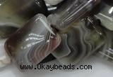 CAG740 15.5 inches 16*20mm rectangle botswana agate beads wholesale