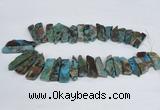 CAG8548 Top drilled 8*30mm - 12*45mm sticks ocean agate beads