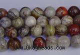 CAG9110 15.5 inches 4mm round Mexican crazy lace agate beads