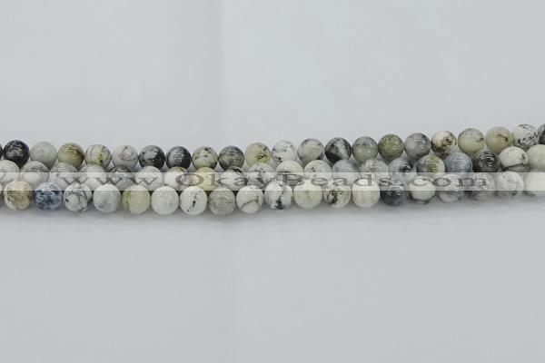 CAG9731 15.5 inches 6mm round black & white agate beads wholesale