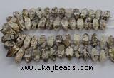 CAG9796 15.5 inches 9*25mm - 11*35mm sticks ocean agate beads