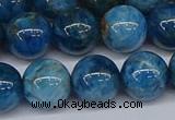 CAP414 15.5 inches 12mm round apatite gemstone beads wholesale