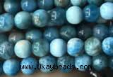 CAP576 15.5 inches 4mm round apatite beads wholesale