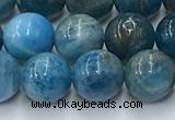 CAP631 15.5 inches 8mm round apatite beads wholesale