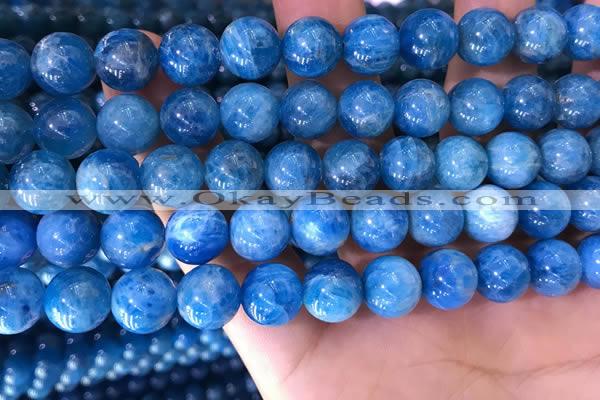 CAP639 15.5 inches 10mm round natural apatite gemstone beads