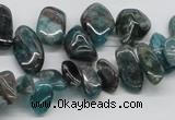 CAP73 15.5 inches 10*20mm nugget dyed apatite gemstone beads wholesale