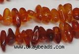 CAR116 16 inches 3*8mm - 4*10mm natural amber chips beads