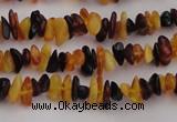 CAR204 24 inches 3*8mm natural amber chips beads wholesale