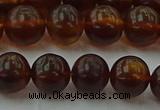 CAR528 15.5 inches 8mm - 9mm round natural amber beads wholesale