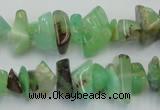 CAU407 15.5 inches 4*8mm - 6*14mm Australia chrysoprase chips beads