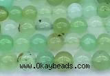 CAU569 15 inches 5mm round Australia chrysoprase beads