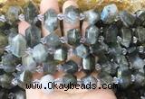 CBBS221 Top drilled 7*16mm - 11*25mm hexahedral prism labradorite beads wholesale CBBS221 Top drilled 7*16mm - 11*25mm hexahedral prism labradorite beads wholesale
