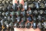 CBBS38 15 inches 12*25mm - 14*28mm hexahedral prism labradorite beads