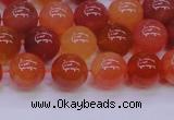 CBC414 15.5 inches 12mm AA grade round orange chalcedony beads